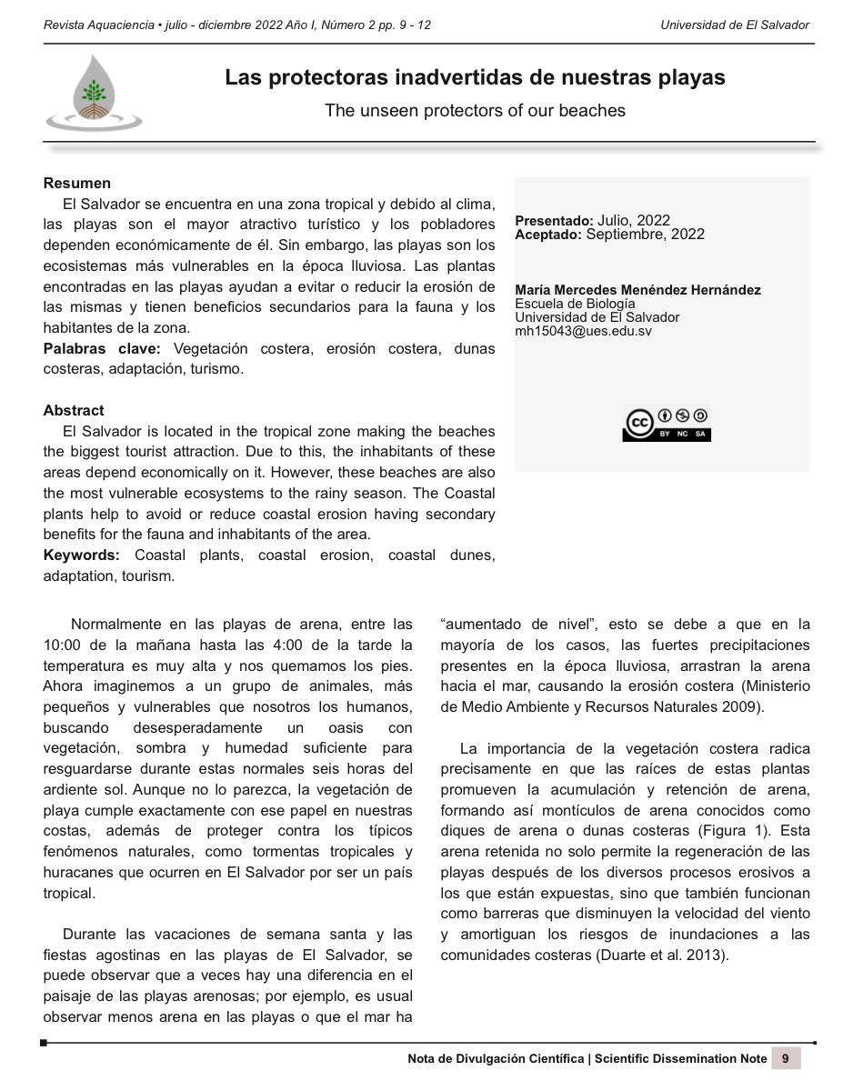 Portada de Las protectoras inadvertidas de nuestras playas